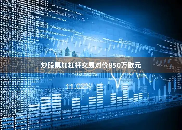 炒股票加杠杆交易对价850万欧元
