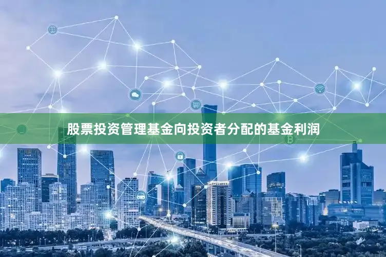 股票投资管理基金向投资者分配的基金利润
