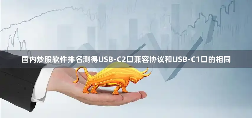 国内炒股软件排名测得USB-C2口兼容协议和USB-C1口的相同
