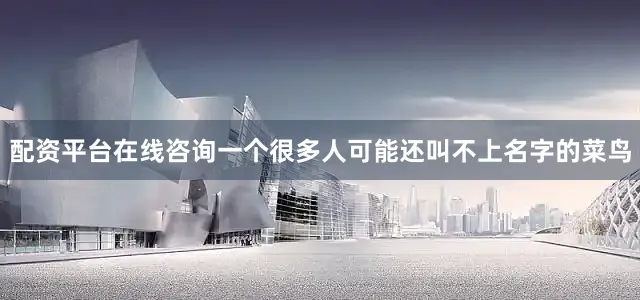 配资平台在线咨询一个很多人可能还叫不上名字的菜鸟